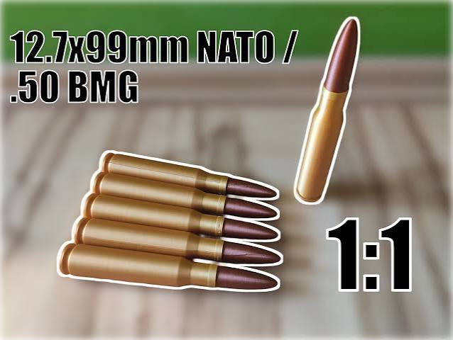 12.7 × 99 mm NATO / .50 BMG